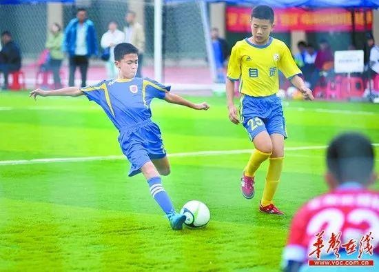 湖南拟建足球场,长沙贺龙体育场改造足球场