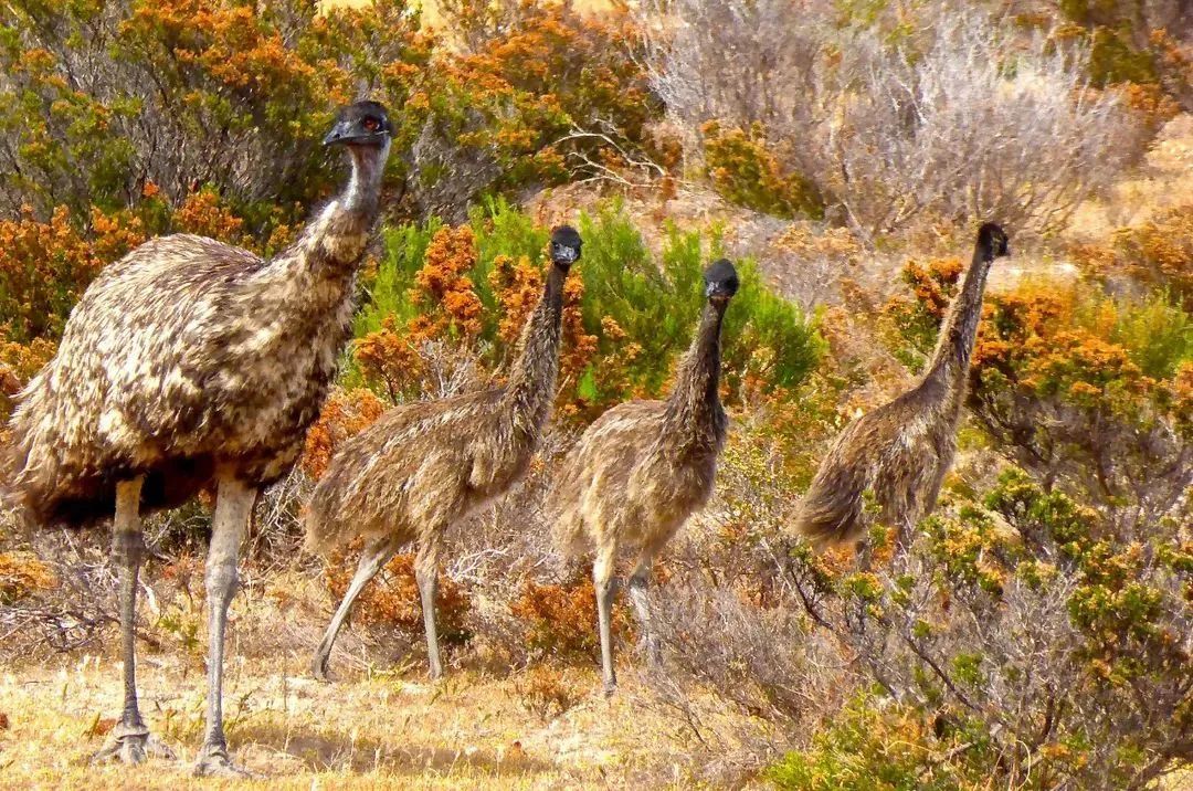 脚臭脱鞋多久可以去味,脚臭喷鞋袜除臭