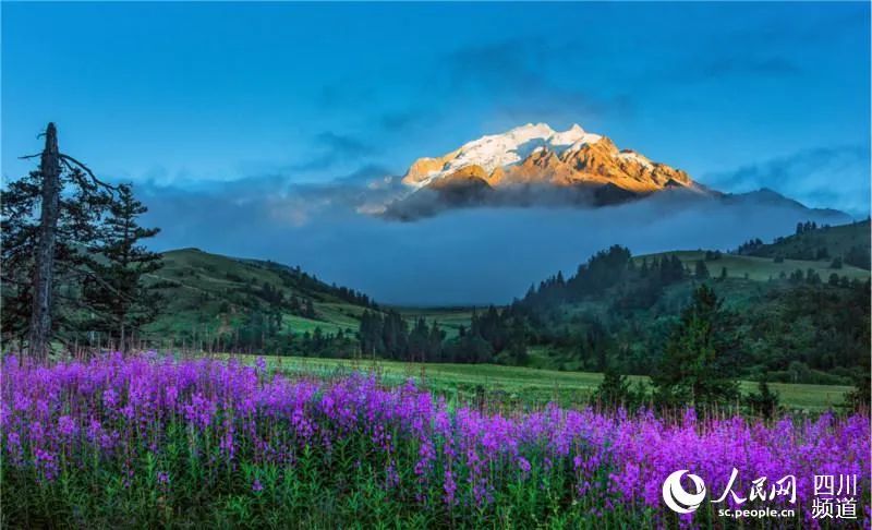 四川毕业生就业云招聘会,四川高校毕业生就业云招聘