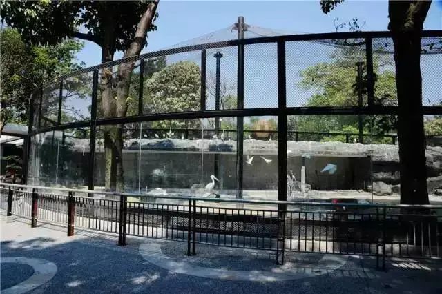 带娃出去玩的公园推荐,周六日可以带娃去的公园