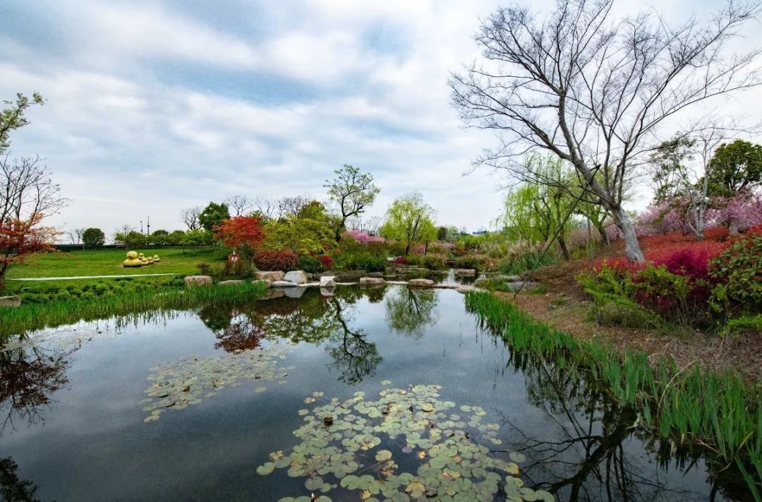 “镜中”余杭！这样的“靓”城美景你见过吗？丨小余儿说晚安
