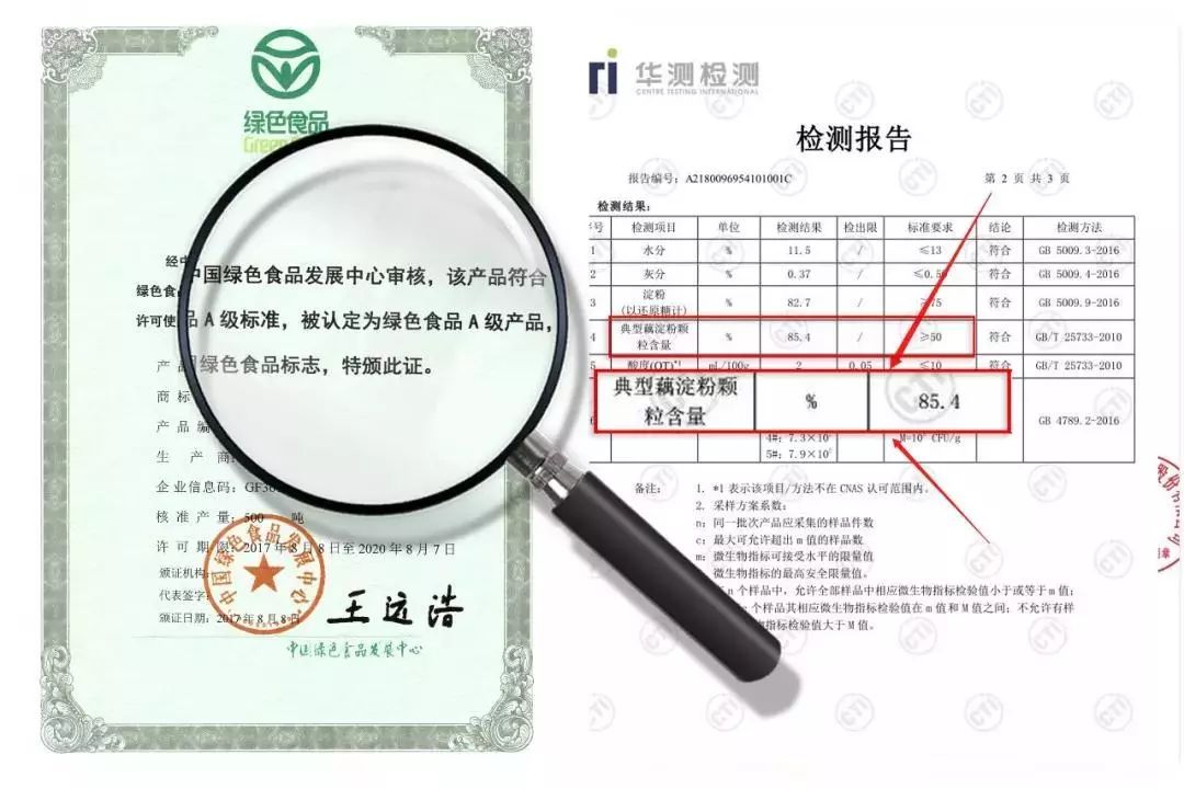 今天用100斤藕教大家自制藕粉,一斤藕粉需要几斤鲜藕来制作