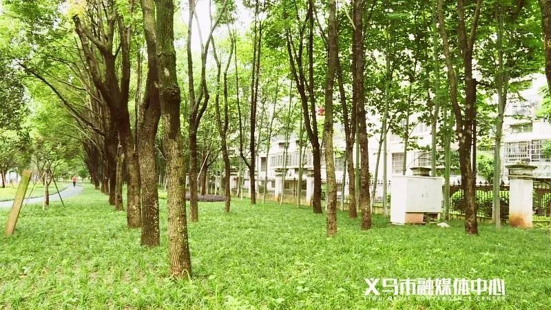 义乌人，本周完工！新增5个休闲健身好去处