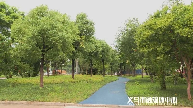 义乌人，本周完工！新增5个休闲健身好去处