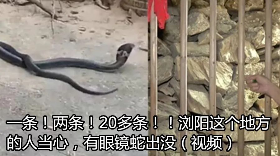 微信群的普遍现象,微信群现象