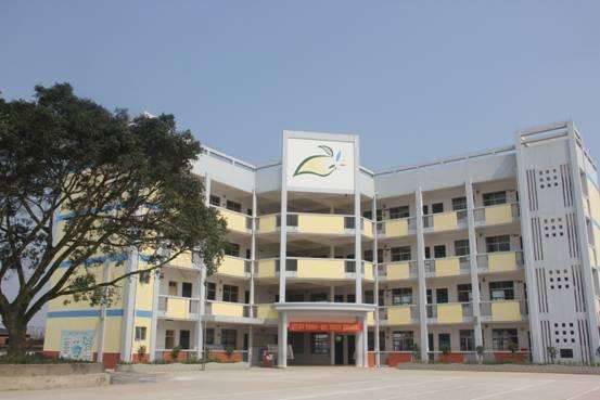 南宁青秀区小学片区划分,南宁青秀区2019小学划分