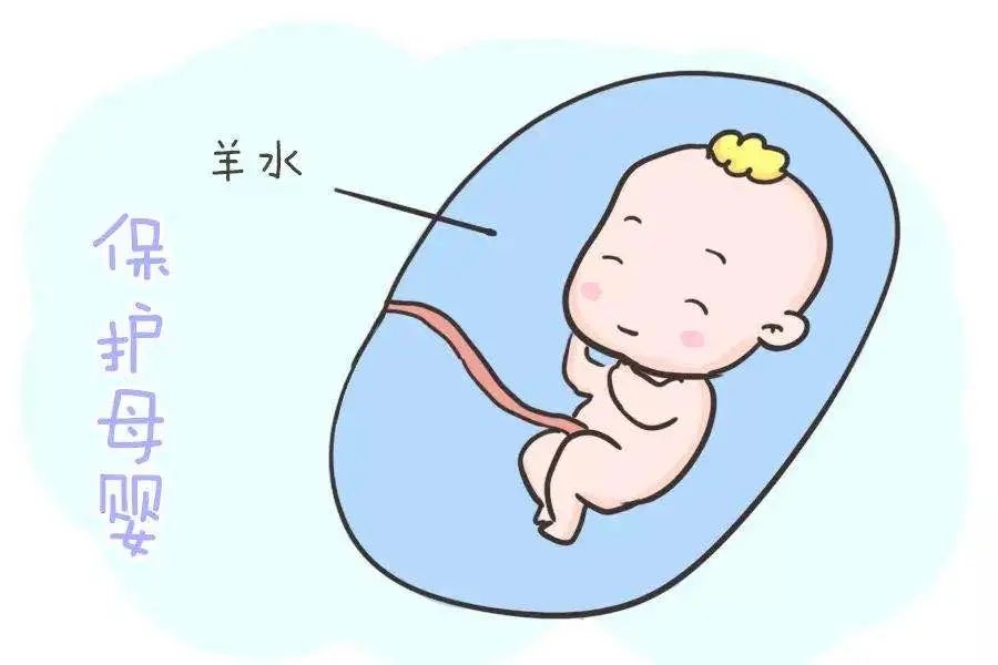 孕期医疗科普短视频,孕期护理常识100条