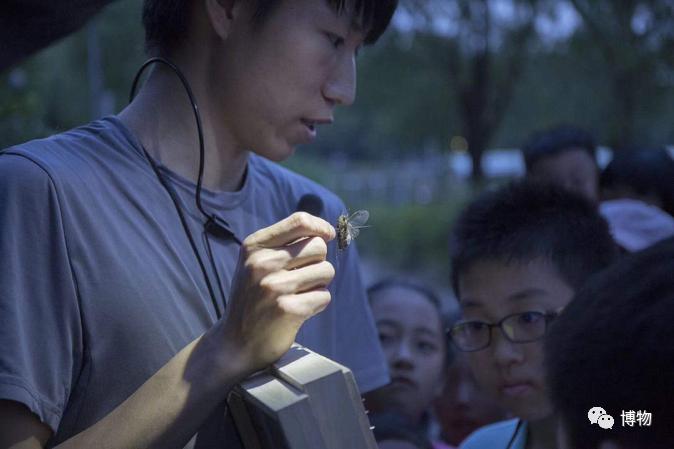 看见虫子动弹不得,看到虫走不动路