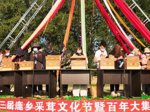 「吉农亮点」一“鹿”高歌向远方，双阳鹿乡采茸文化节启幕