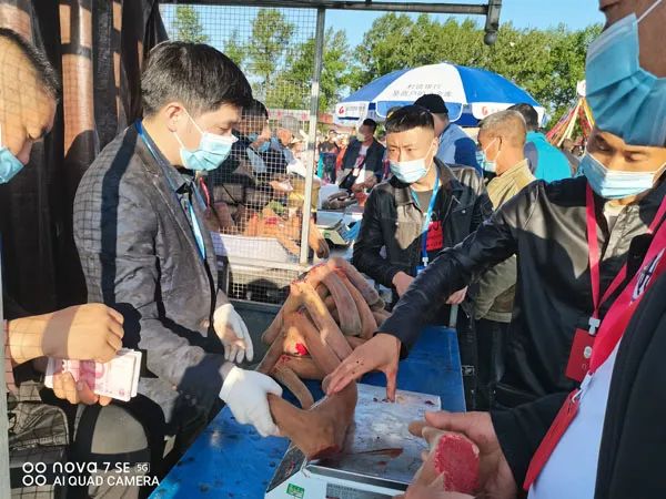 「吉农亮点」一“鹿”高歌向远方，双阳鹿乡采茸文化节启幕