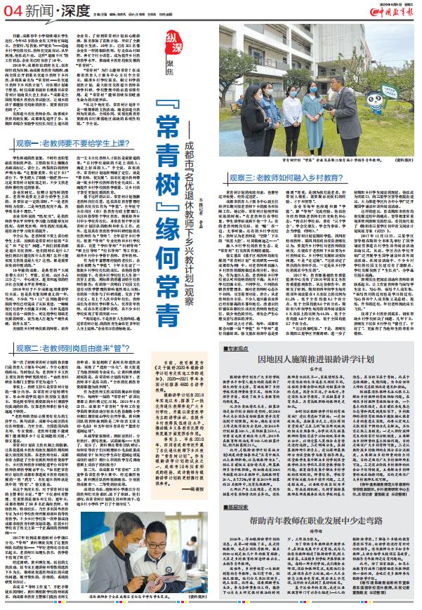 常青树教育培训,常青树怎么养护和管理