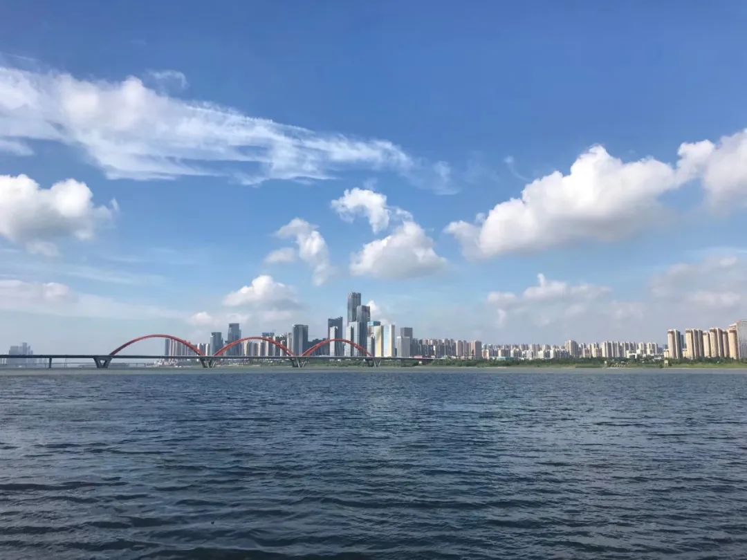 刷屏了！这样的开福蓝，请给我来一打