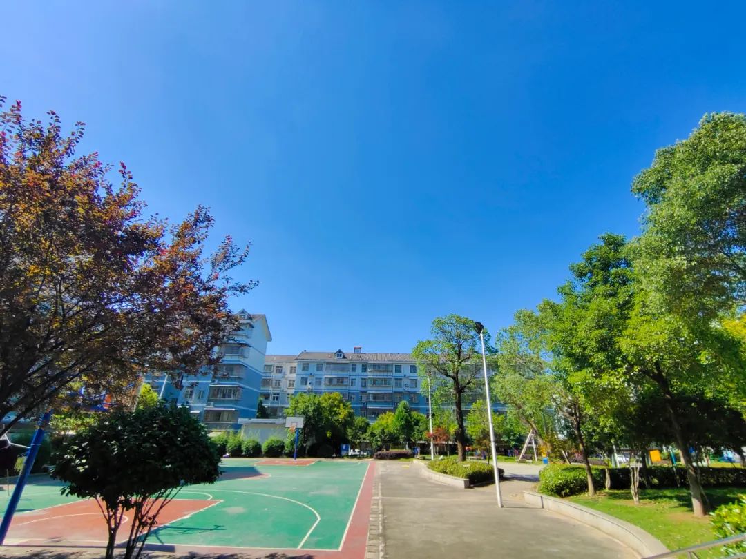 刷屏了！这样的开福蓝，请给我来一打