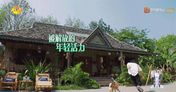 拥有风靡全网的“网绿”才是向往的生活