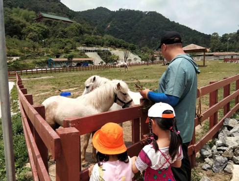 暑假肇庆旅游攻略,带上行囊出发吧