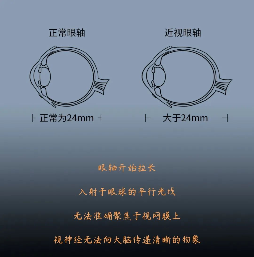 放纵不羁的年轻人,那些放荡不羁的人