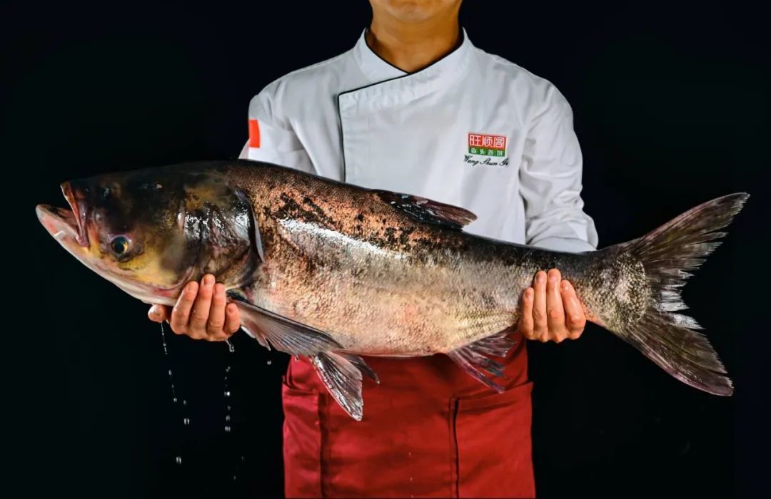 冰淇淋牛角、3.6折鱼头泡饼、川菜大师新菜单、超值早午餐、父亲节茶礼……本周的吃货心愿清单已更新|一周好吃