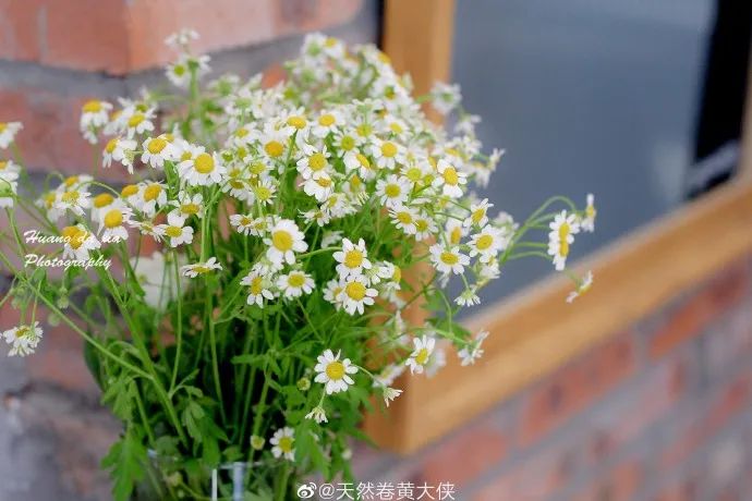 推荐几家下午茶餐,藏于山水间的下午茶推荐