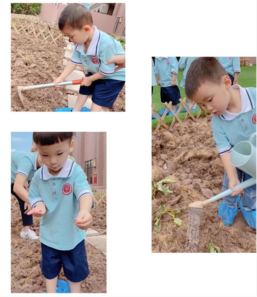 上海西外幼儿园,上海西外幼儿园怎么样