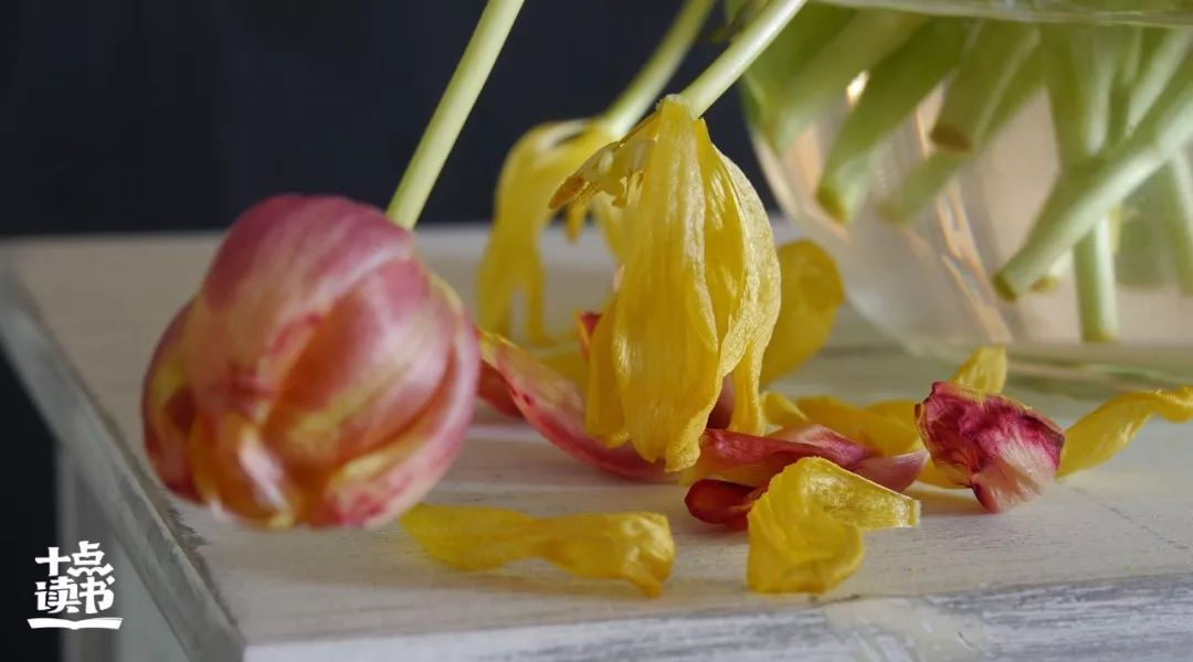 好的生活姿态是在孤独中成长,好的生活就要学会孤独
