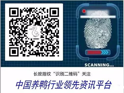 当今农村养殖什么最赚钱最好养,农村养殖业什么项目比较稳回本快