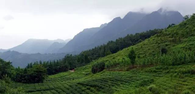 大邑周边带孩子玩的宝藏地,大邑宝藏登山地