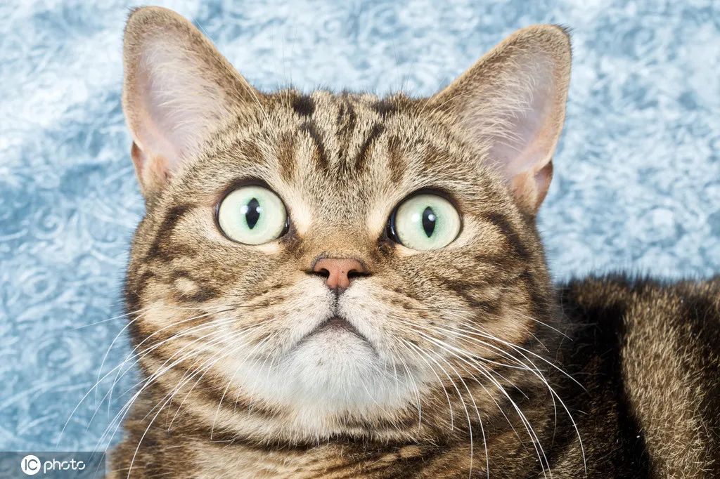 微信拍一拍特殊代码怎么设置,微信拍一拍代码教程