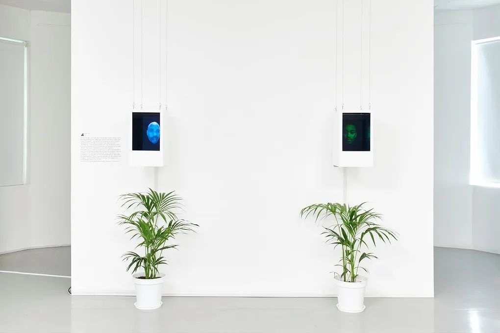 艺术家不需要真人？虚拟形象能够代替吗？