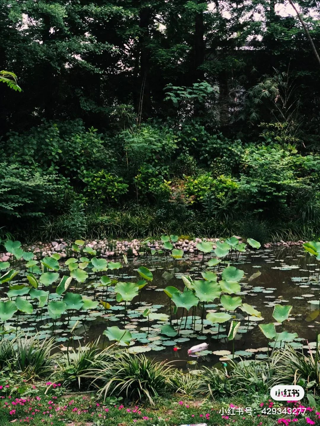 夏日避暑胜地高铁直达,坐动车可直达哪些地方避暑