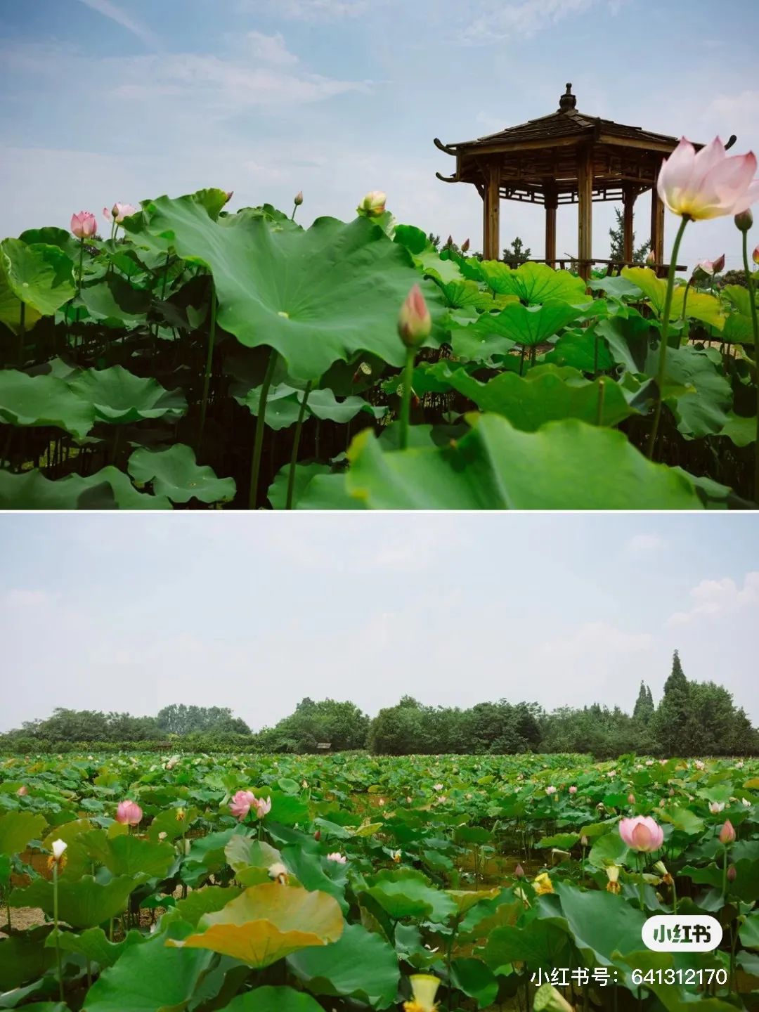 夏日避暑胜地高铁直达,坐动车可直达哪些地方避暑