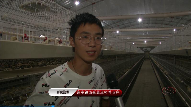 90后小伙养鸡创业带动家乡脱贫,返乡创业养鸡致富带头人