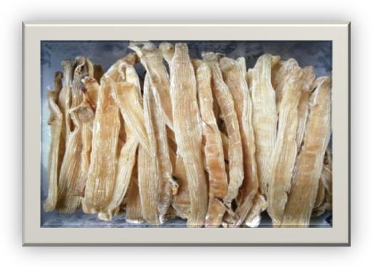 「生殖吧」想补虚又怕上火的备孕女士，宜炖什么汤品？推荐这个味道鲜美的“沙虫干”，能滋阴降火，清肺补虚