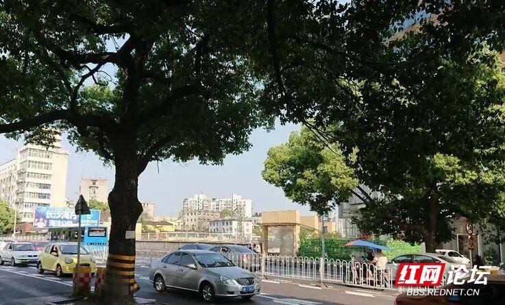 株洲荷塘区新华路实拍,株洲新华路风景图片