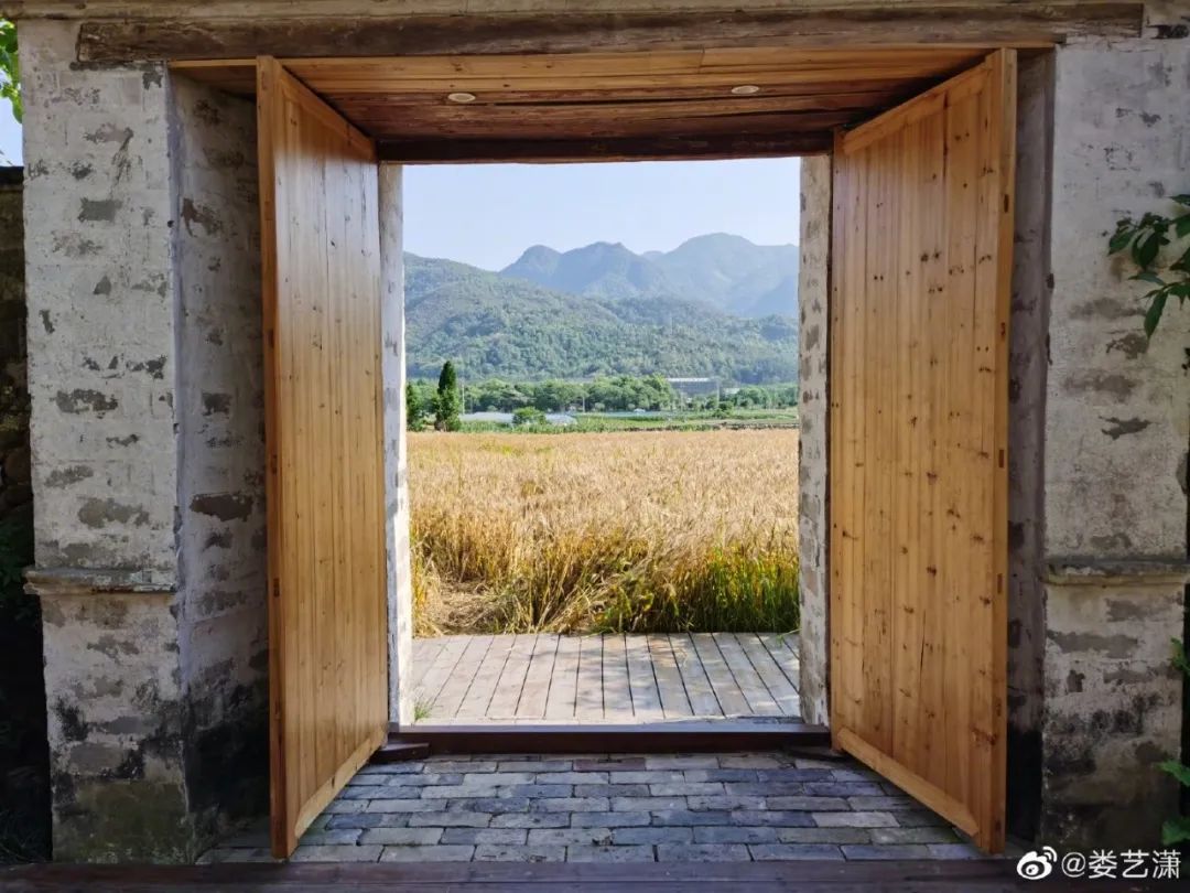 娄艺潇住的哪个酒店,娄艺潇旅游住民宿