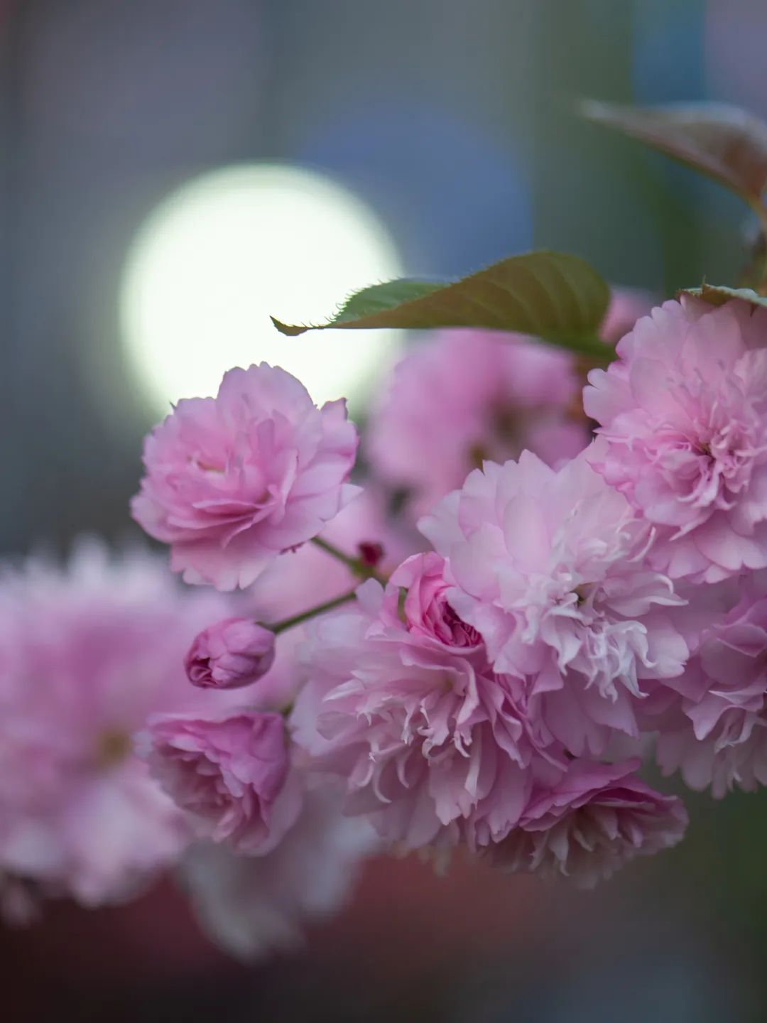成都绿道潮玩地点推荐,成都绿道附近好玩的地方