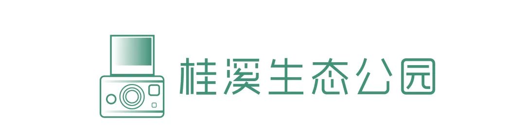 成都绿道潮玩地点推荐,成都绿道附近好玩的地方