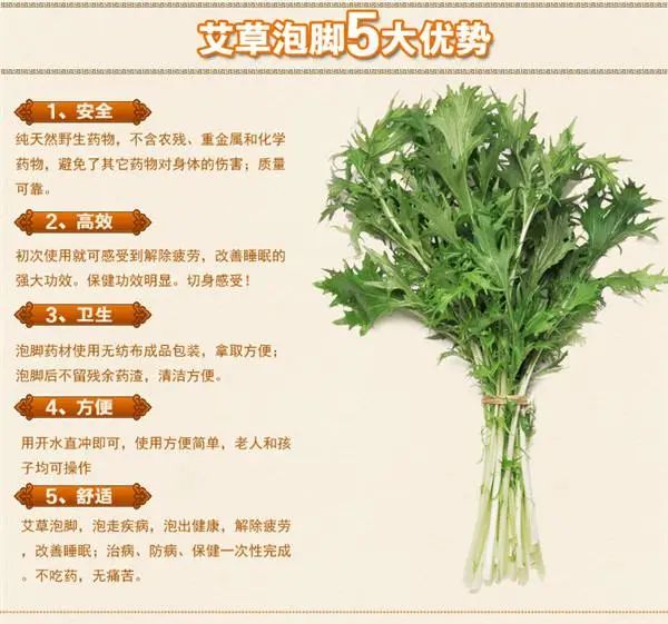 中医知识讲解艾草,艾草中医养生