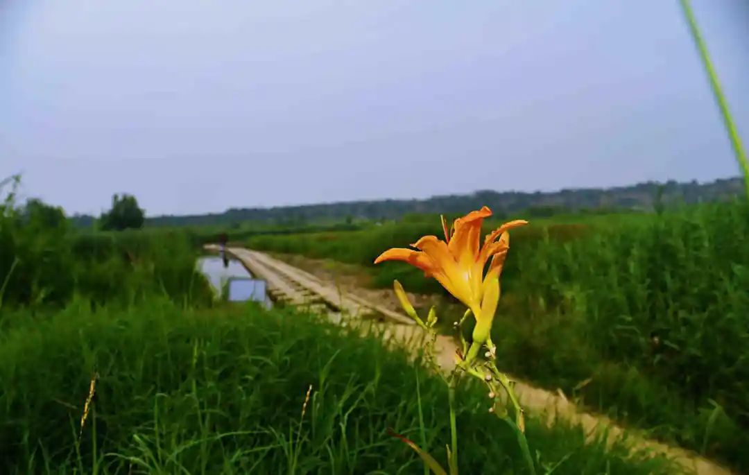 陕西石川河风景,大美石川河