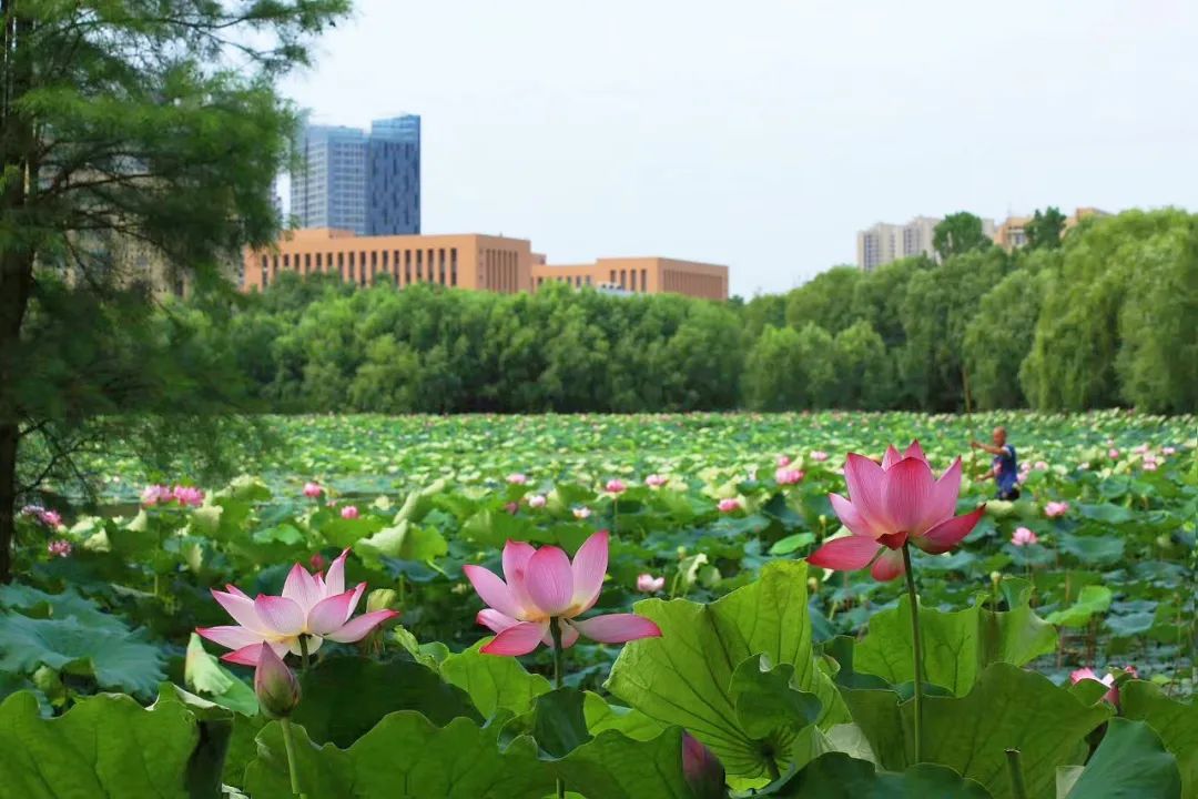 你好这里是成都,校园生活武汉科技大学