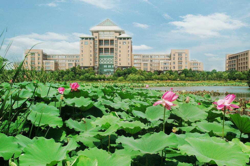 你好这里是成都,校园生活武汉科技大学