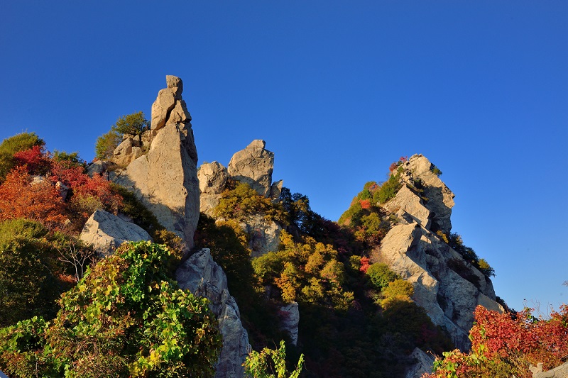 翠华山距离西安市哪个区最近,从西安市内去翠华山怎么去