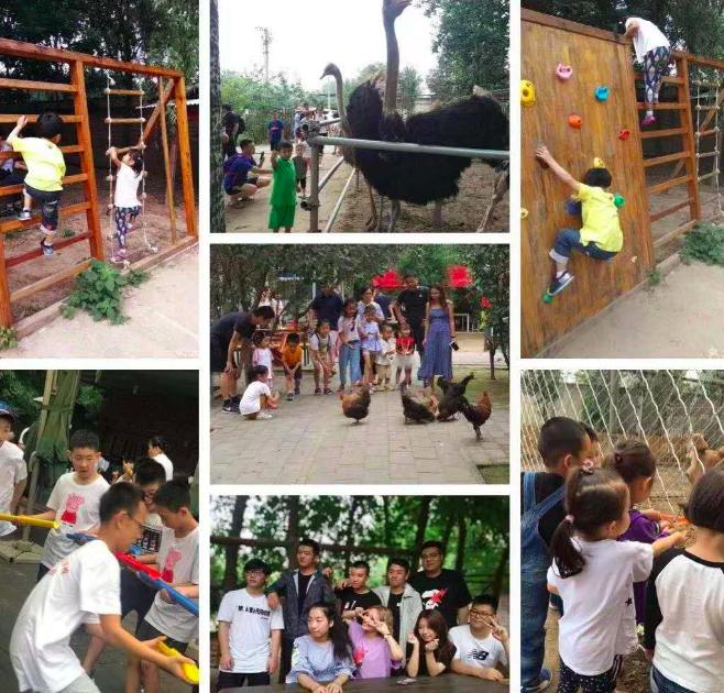 四步玩转亲子农场,周边好玩的亲子农场适合遛娃