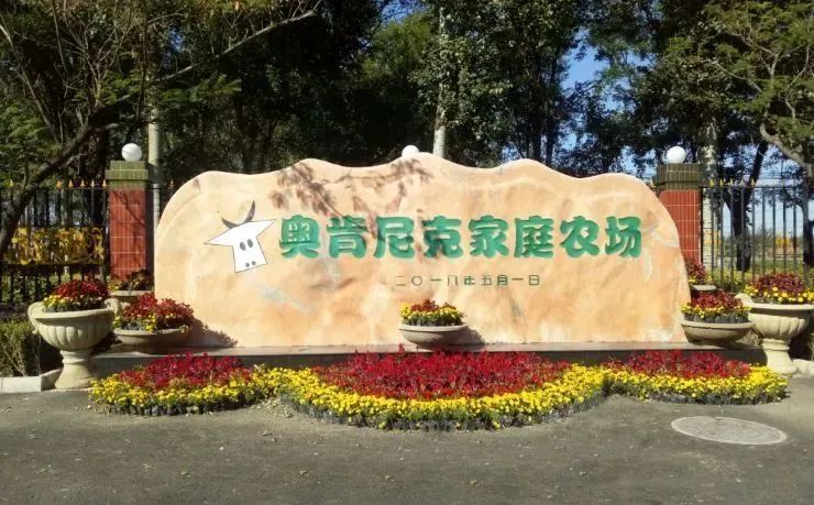 四步玩转亲子农场,周边好玩的亲子农场适合遛娃