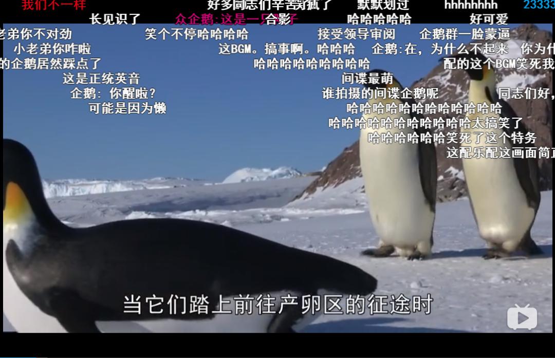 妥妥的知识宝藏！这位妈妈深扒B站，今年暑假学习资源不用愁了