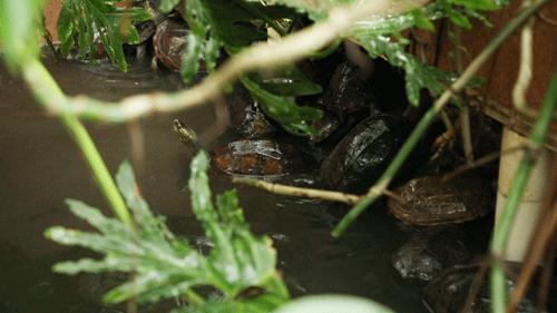 纯手工熬制甜品,匠心手作甜品