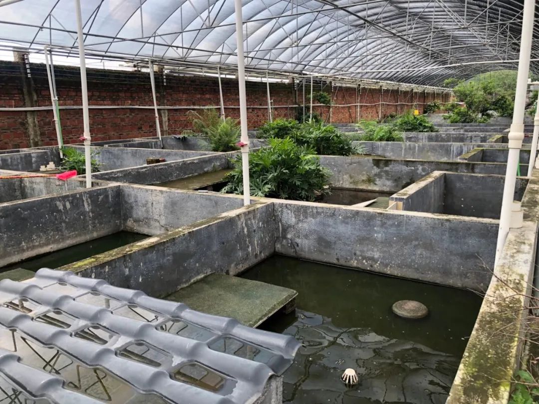 纯手工熬制甜品,匠心手作甜品