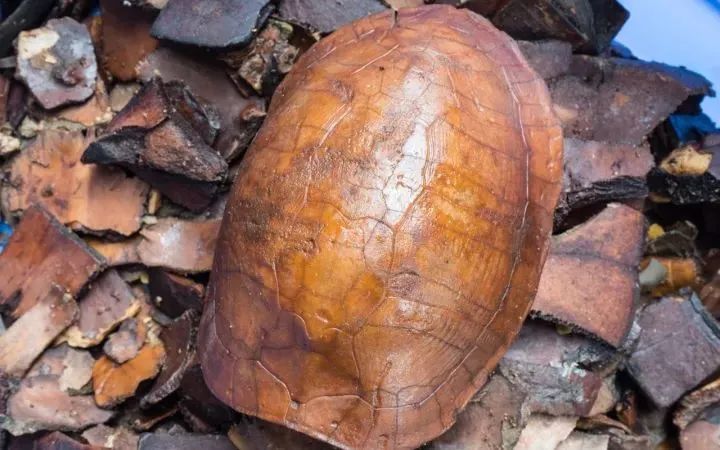 纯手工熬制甜品,匠心手作甜品