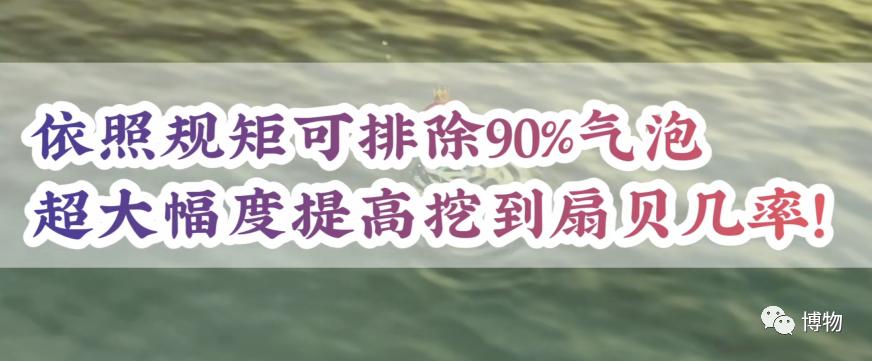 砗磲能用红绳穿吗,砗磲能用白色素绳穿吗