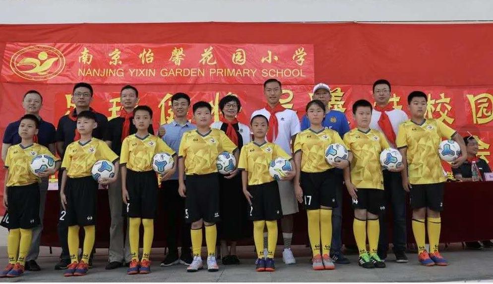 足球体育改革,体育专业协会成立