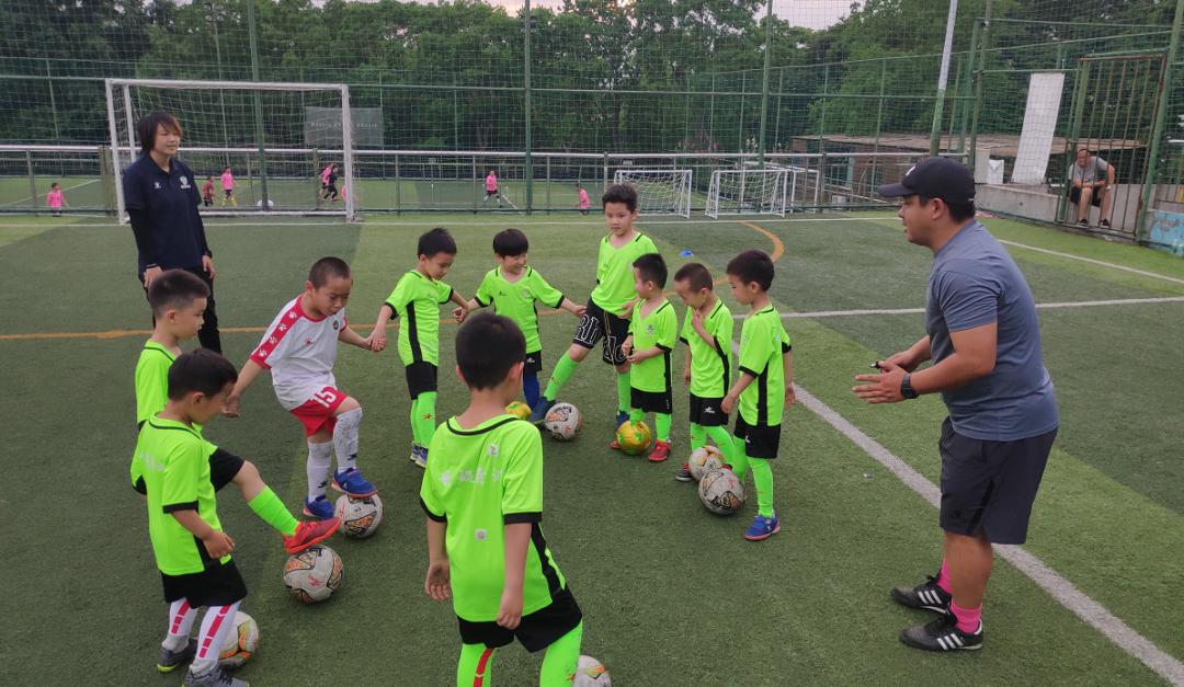 足球体育改革,体育专业协会成立